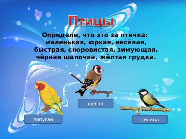 Определи, что это за птичка: маленькая, юркая, весёлая, быстрая, сноровистая, зимующая, чёрная шапочка, жёлтая грудка. щегол попугай синица 