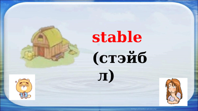 stable (стэйбл) 