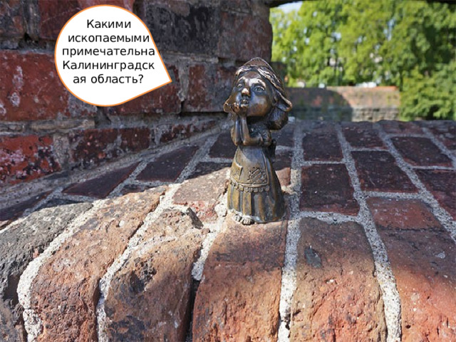 Какими ископаемыми примечательна Калининградская область? 