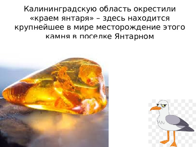 Калининградскую область окрестили «краем янтаря» – здесь находится крупнейшее в мире месторождение этого камня в поселке Янтарном 
