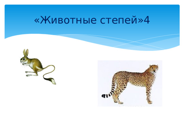 «Животные степей»4 