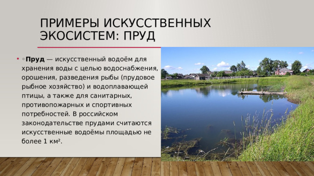 ПРимеры искусственных экосистем: Пруд ◦ Пруд  — искусственный водоём для хранения воды с целью водоснабжения, орошения, разведения рыбы (прудовое рыбное хозяйство) и водоплавающей птицы, а также для санитарных, противопожарных и спортивных потребностей. В российском законодательстве прудами считаются искусственные водоёмы площадью не более 1 км². 