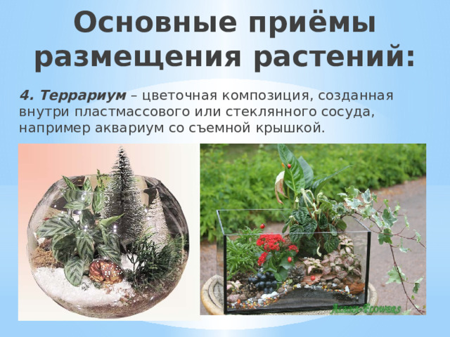 Основные приёмы размещения растений: 4. Террариум – цветочная композиция, созданная внутри пластмассового или стеклянного сосуда, например аквариум со съемной крышкой. 