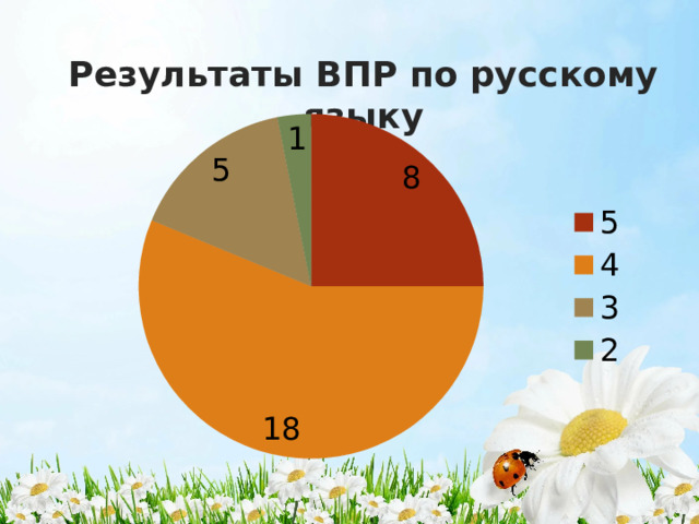 Результаты ВПР по русскому языку 