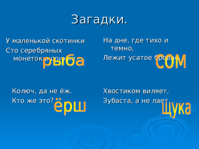 Загадки. На дне, где тихо и темно, Лежит усатое бревно… У маленькой скотинки Сто серебряных монеток в спинке… Колюч, да не ёж. Кто же это? Хвостиком виляет, Зубаста, а не лает… 