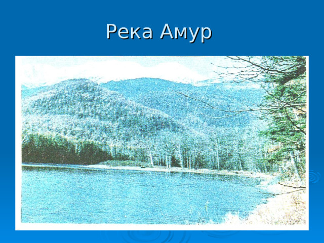 Река Амур 