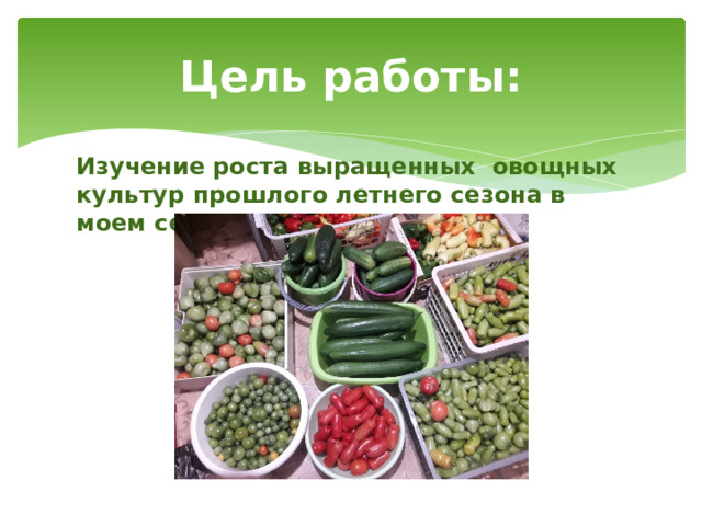 Цель работы: Изучение роста выращенных овощных культур прошлого летнего сезона в моем селе. 