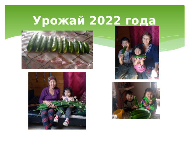 Урожай 2022 года 