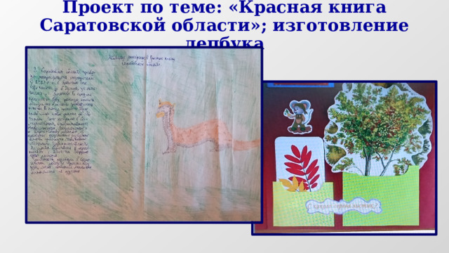 Проект по теме: «Красная книга Саратовской области»; изготовление лепбука 