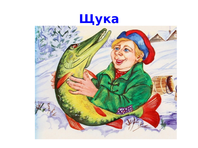 Щука 