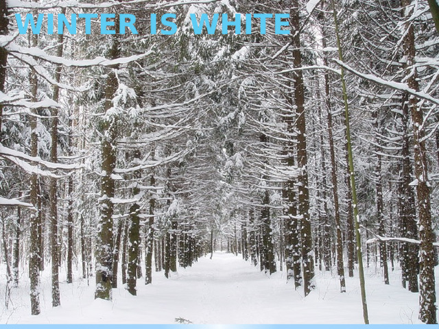 WINTER IS WHITE 