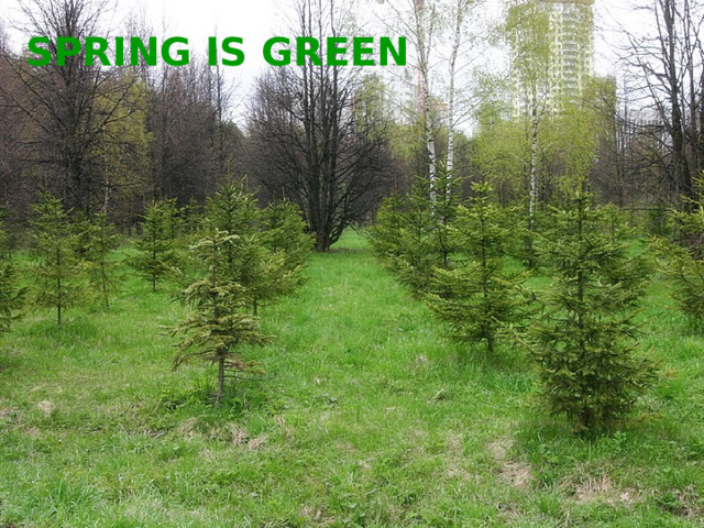 SPRING IS GREEN 