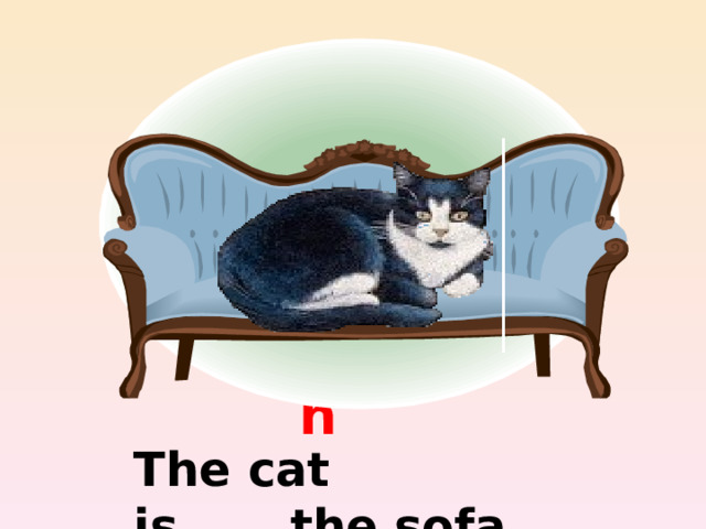 on The cat is…….the sofa 