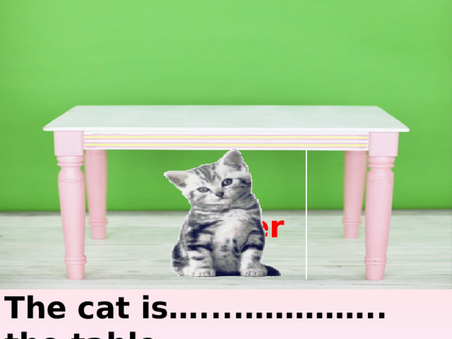 under under The cat is…....………….. the table. 