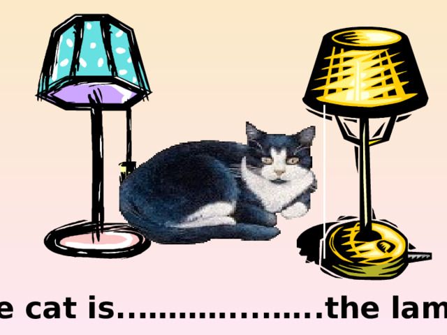 between The cat is..………....…..the lamps. 