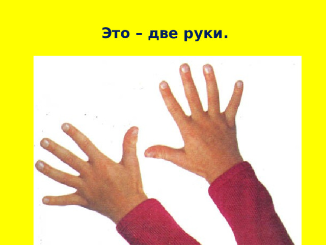 Это – две руки. 