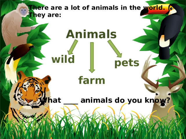 There are a lot of animals in the world. They are: Animals wild pets farm What ____ animals do you know? 