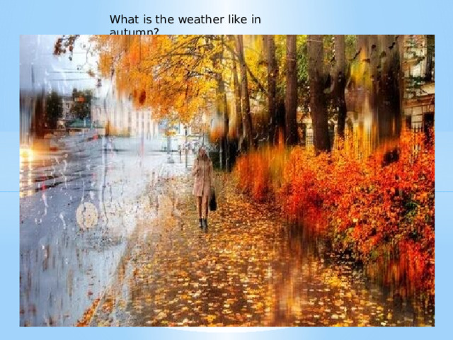 What is the weather like in autumn? 