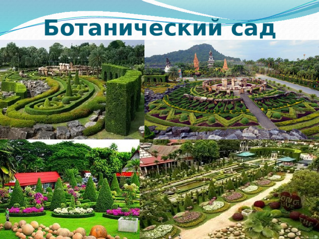Ботанический сад 