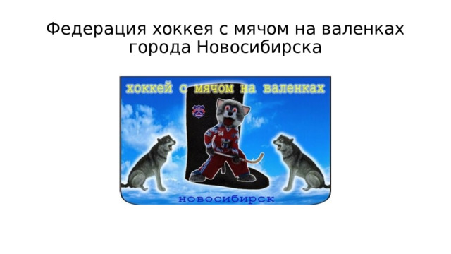 Федерация хоккея с мячом на валенках города Новосибирска 