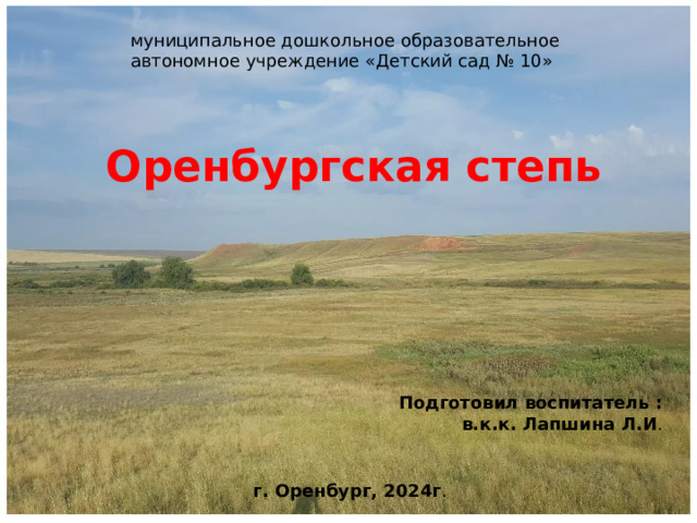 муниципальное дошкольное образовательное автономное учреждение «Детский сад № 10» Оренбургская степь Подготовил воспитатель : в.к.к. Лапшина Л.И . г. Оренбург, 2024г . 