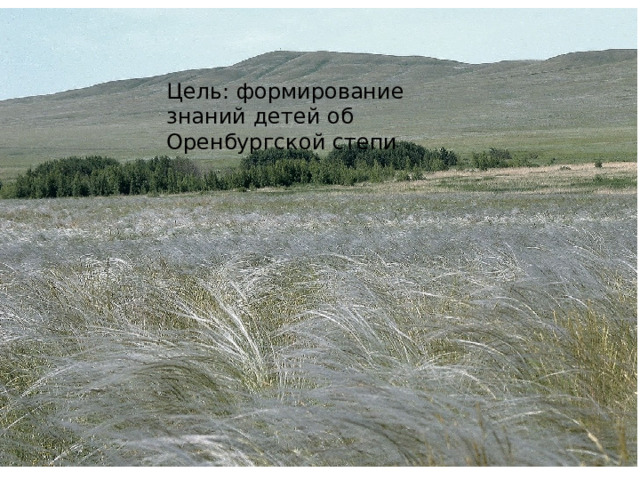 Цель: формирование знаний детей об Оренбургской степи 