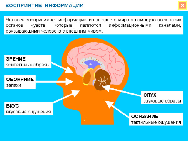 Восприятие информации 