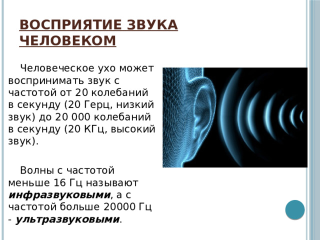 Восприятие звука человеком Человеческое ухо может воспринимать звук с частотой от 20 колебаний в секунду (20 Герц, низкий звук) до 20 000 колебаний в секунду (20 КГц, высокий звук). Волны с частотой меньше 16 Гц называют инфразвуковыми , а с частотой больше 20000 Гц - ультразвуковыми . 