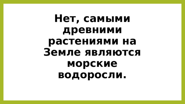 Нет, самыми древними растениями на Земле являются морские водоросли. 