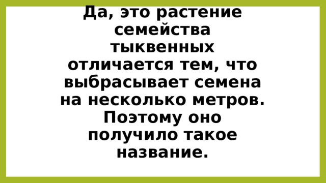 Да, это растение семейства тыквенных отличается тем, что выбрасывает семена на несколько метров. Поэтому оно получило такое название. 