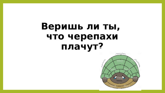 Веришь ли ты,  что черепахи плачут? 