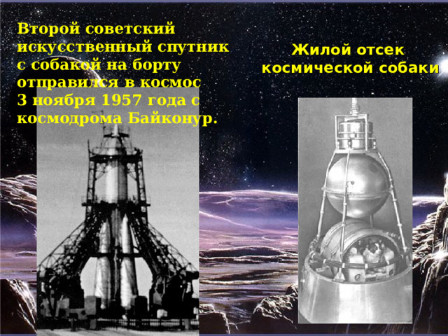 Второй советский искусственный спутник с собакой на борту отправился в космос 3 ноября 1957 года с космодрома Байконур.  Жилой отсек космической собаки 