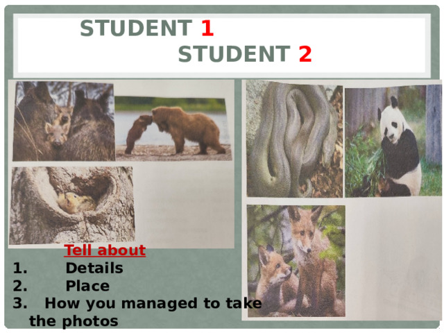 Student 1 Student 2  Tell about  Details  Place  How you managed to take the photos 