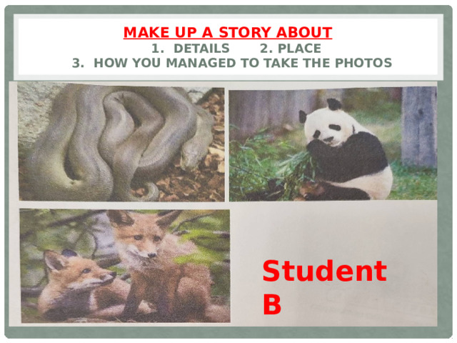 Make up a story about  1. Details 2. Place  3. How you managed to take the photos Student B 