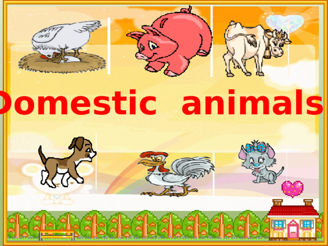 Domestic animals 