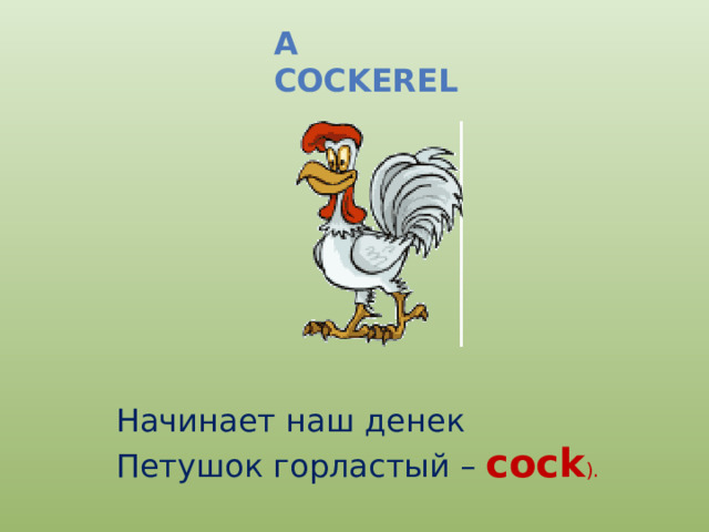 a cockerel Начинает наш денек Петушок горластый – cock ). 