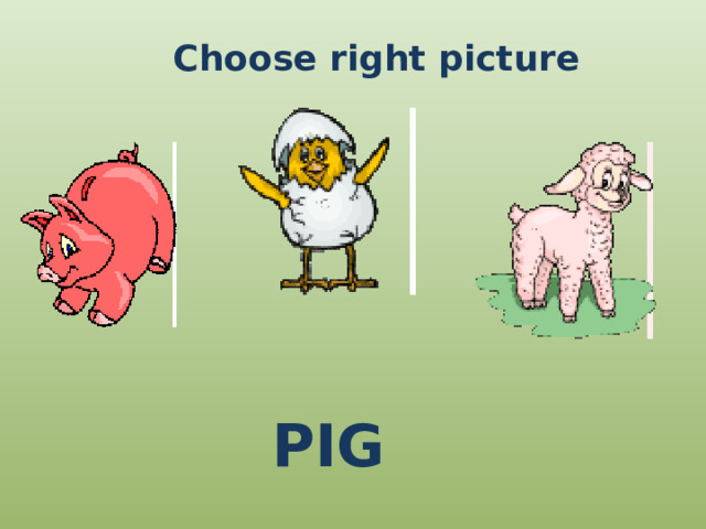 Choose right picture PIG 