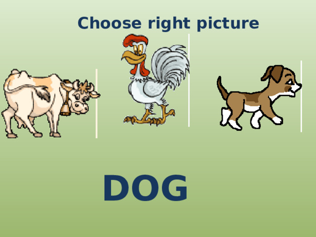 Choose right picture DOG 
