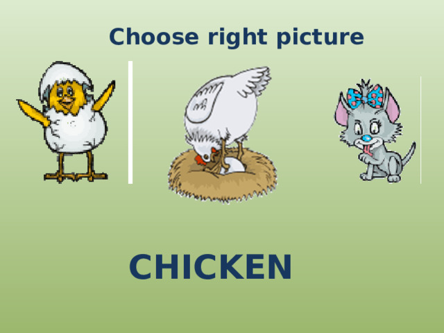 Choose right picture CHICKEN 