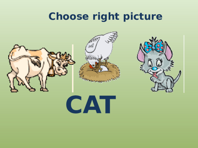 Choose right picture CAT 