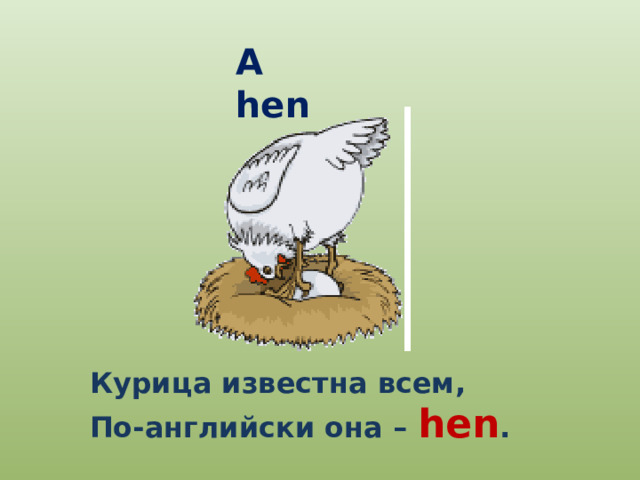 A hen Курица известна всем, По-английски она – hen . 