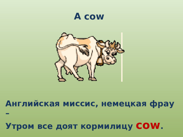 A cow Английская миссис, немецкая фрау – Утром все доят кормилицу cow . 