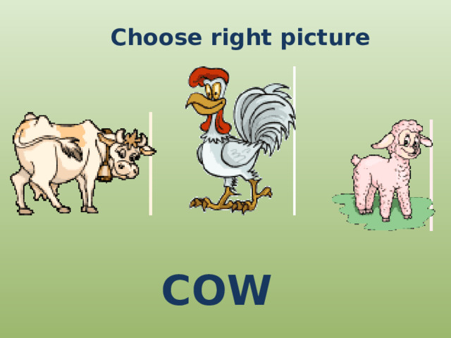 Choose right picture COW 