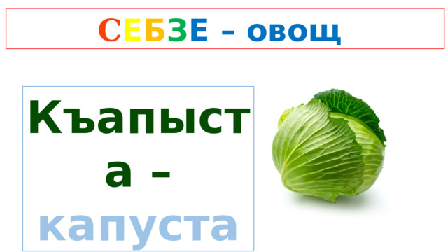 C Е Б З Е  – овощ Къапыста – капуста 