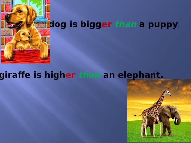 A dog is bigg er  than a puppy . A giraffe is high er  than an elephant. 