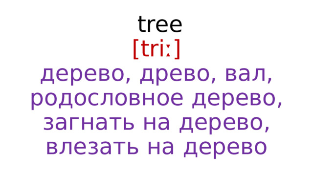  tree  [triː]  дерево, древо, вал, родословное дерево, загнать на дерево, влезать на дерево 