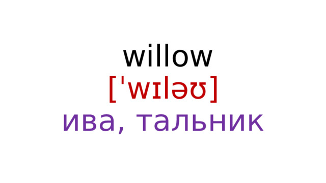  willow  [ˈwɪləʊ]  ива, тальник 
