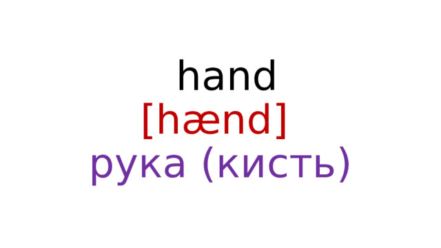  hand  [hænd]  рука (кисть) 