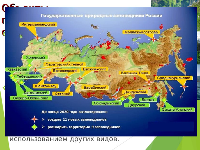 Объекты,  подлежащие особой охране Государственные природные заповедники - изъятые навсегда из хозяйственного пользования и не подлежащие изъятию ни для каких иных целей природные комплексы; Государственные природные заказники - природные комплексы, предназначенные для сохранения или воспроизводства одних видов природных ресурсов в сочетании с согласованным использованием других видов. 