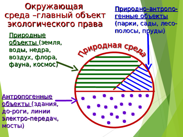 Окружающая среда –главный объект экологического права Природно-антропо-генные объекты (парки, сады, лесо-полосы, пруды) Природные объекты (земля, воды, недра, воздух, флора, фауна, космос) Антропогенные объекты (здания, до-роги, линии электро-передач, мосты) 